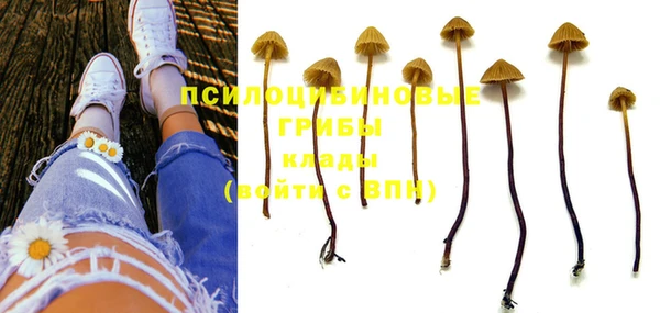 крисы Осташков