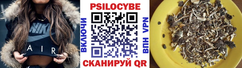 OMG зеркало  даркнет сайт  Вязьма  Псилоцибиновые грибы прущие грибы 